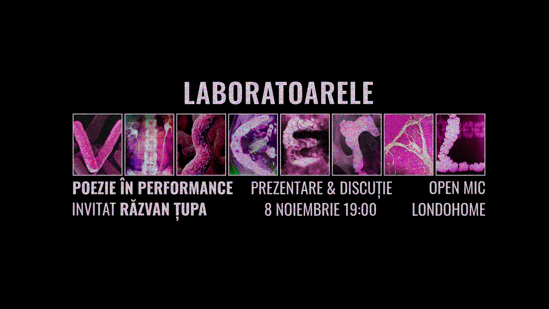 Laboratoarele Visceral