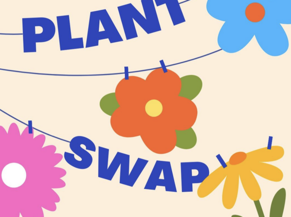 Plant Swap