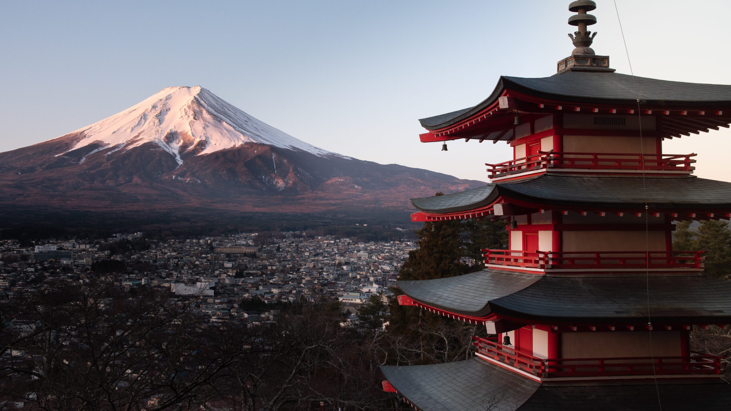 Japonia în cărți