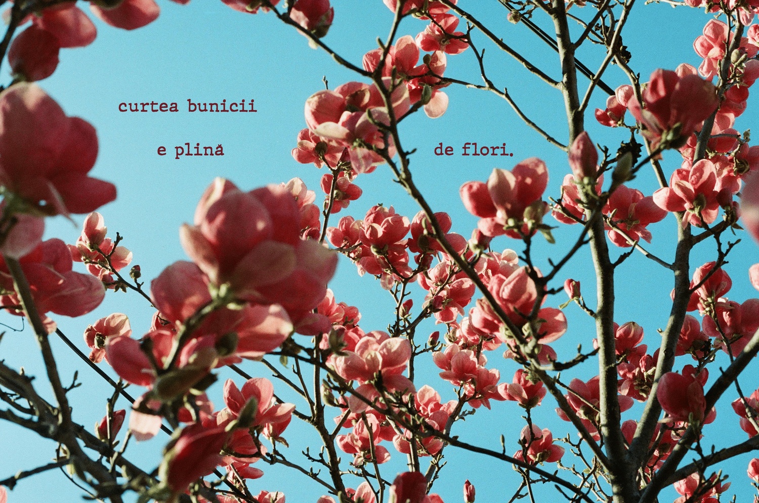 Ia o pauză. Trage-ți sufletul.
