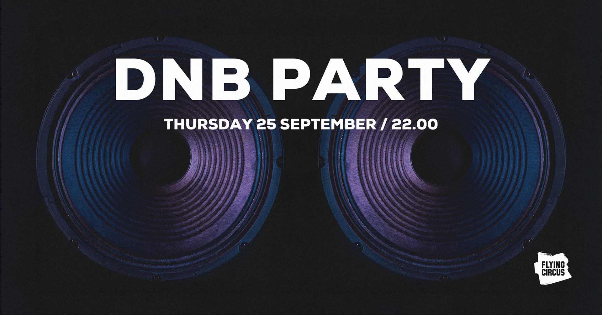 DNB Party