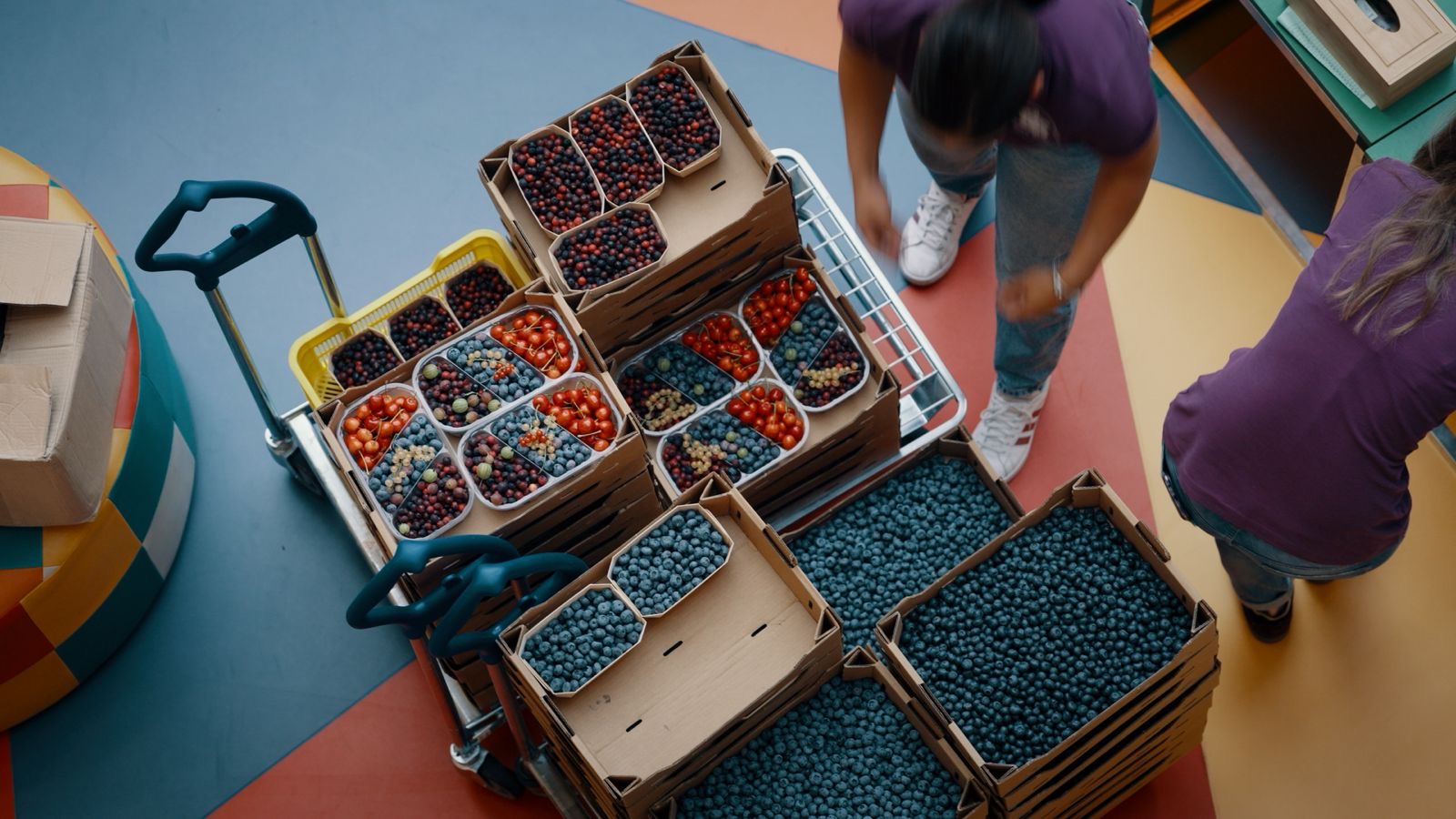 România care funcționează: deșeuri sortate, ulei reciclat și mâncare fără risipă