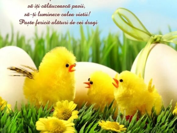 Bună dimineața la cafeluță!